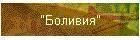 "Боливия"