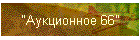 "Аукционное 66"
