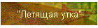 "Летящая утка"