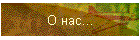 О нас...