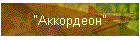 "Аккордеон"