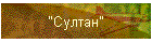"Султан"